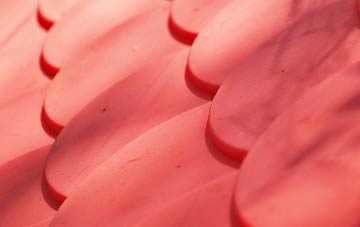 Bronant plastic roof costs