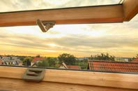 rated Bronant roof window companies